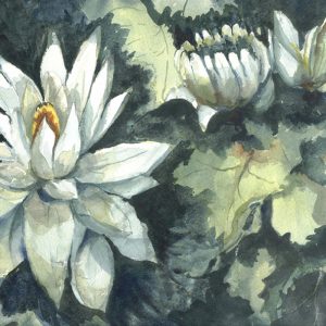 Night-Blooming-Water-Lily-claire-payne-painting