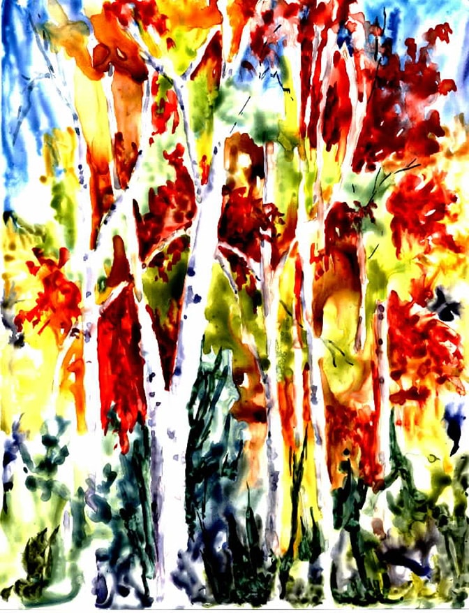 Birch Trees